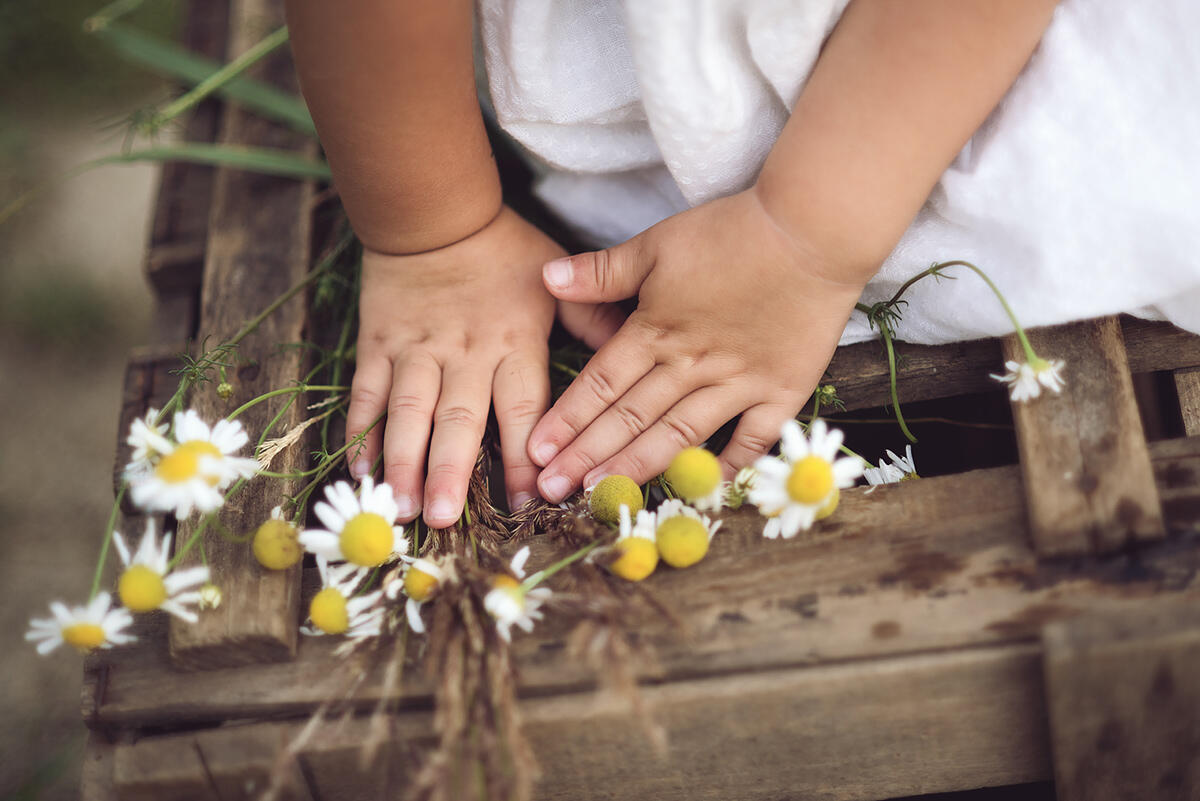 Piękno detali – sesja dziecięca Zbliżenie na rączki dziecka bawiącego się kwiatami podczas sesji plenerowej w Krakowie – naturalna fotografia dziecięca, Anna Janowska.